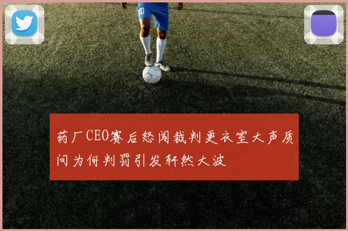 药厂CEO赛后怒闯裁判更衣室大声质问为何判罚引发轩然大波